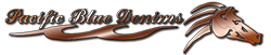 Pacific Blue Denims