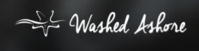 washed ashore